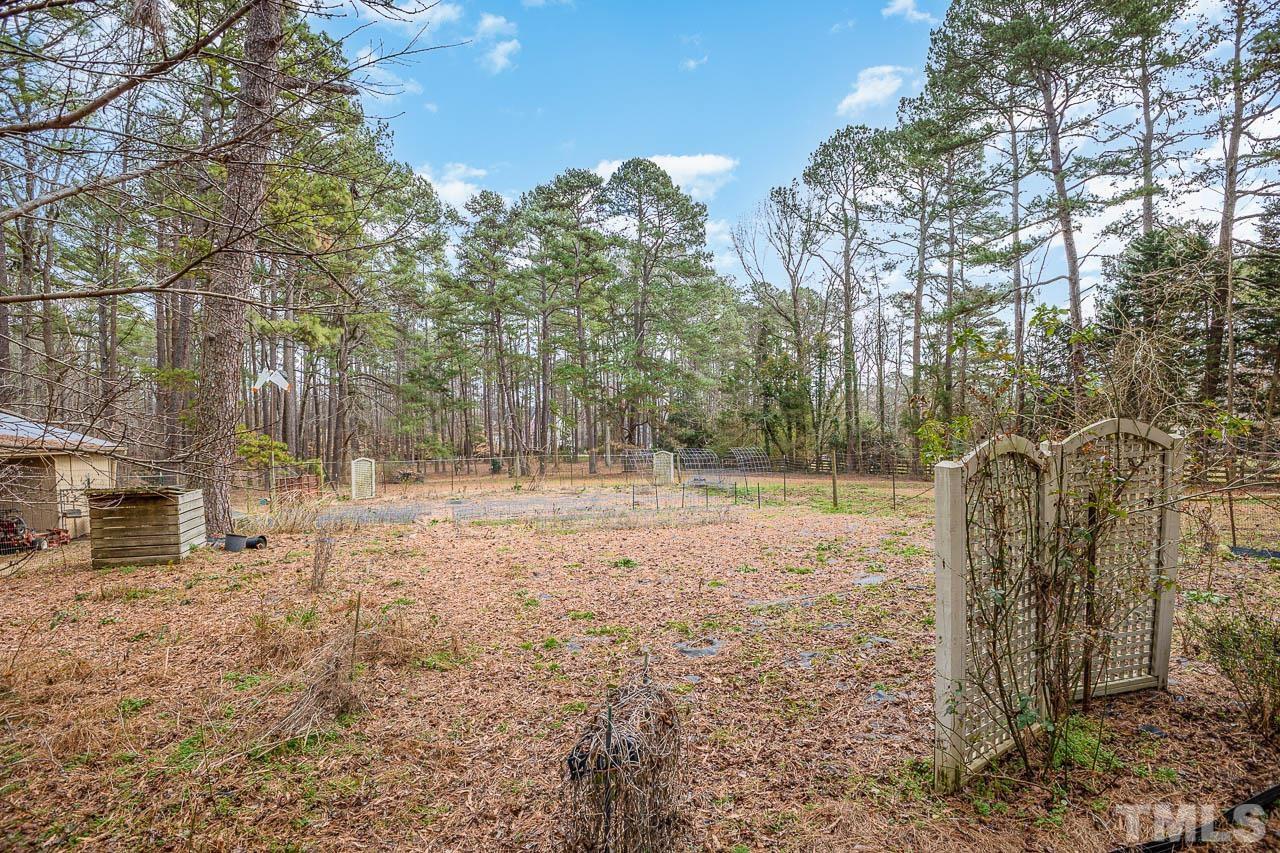 9006 Honeycutt Road Raleigh, NC 27615 - Photo 21 of 54 a view of a yard with trees