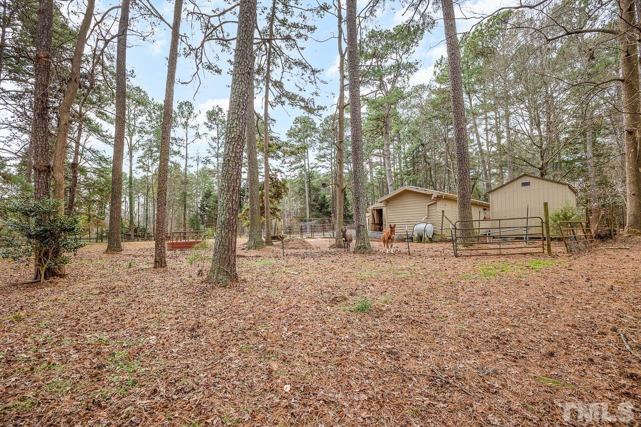 9006 Honeycutt Road Raleigh, NC 27615 - Photo 24 of 54 a view of a house with a yard and trees