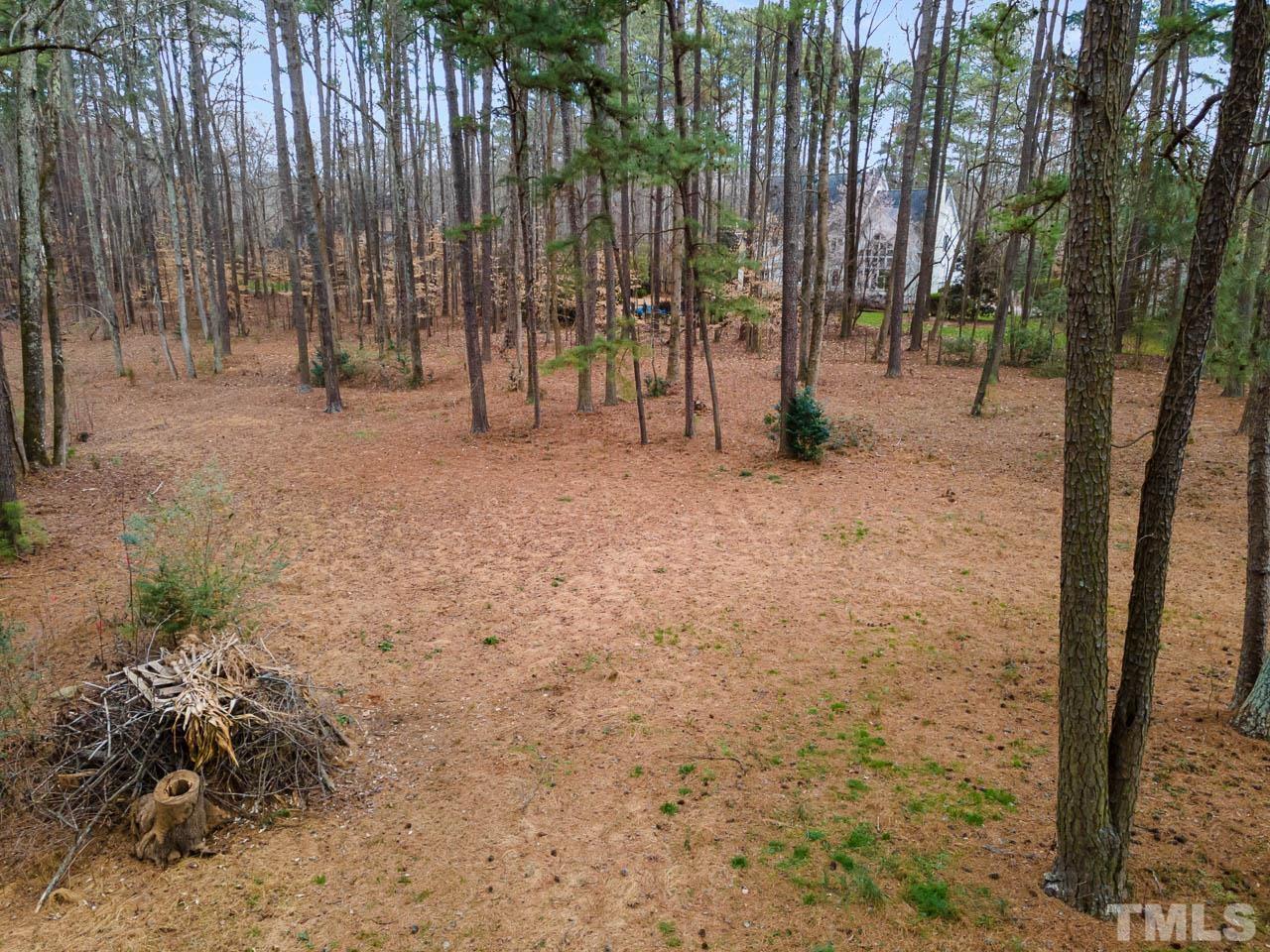 9006 Honeycutt Road Raleigh, NC 27615 - Photo 4 of 54 a view of outdoor space with deck and trees