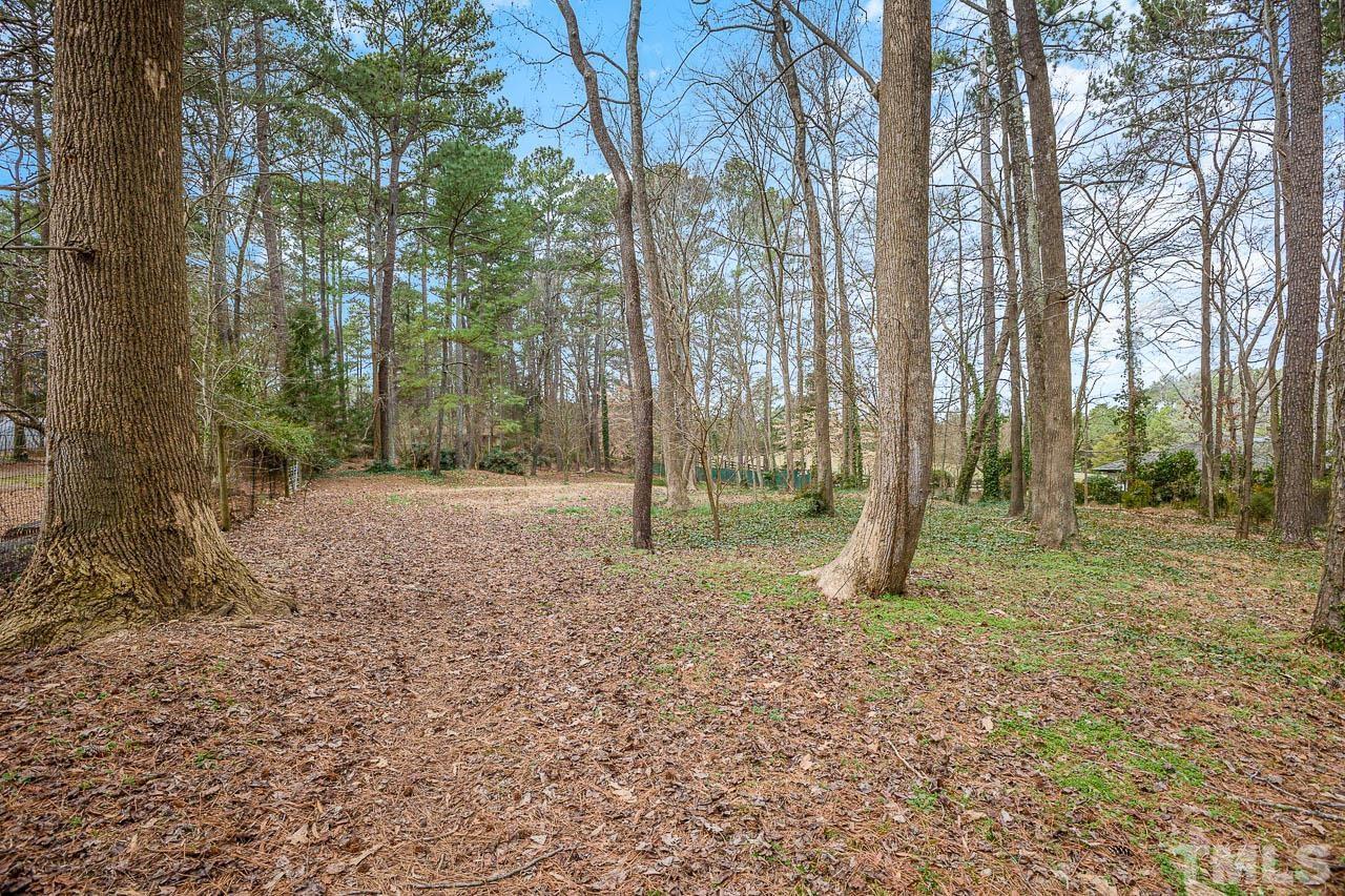 9006 Honeycutt Road Raleigh, NC 27615 - Photo 5 of 54 a backyard of a house with lots of green space