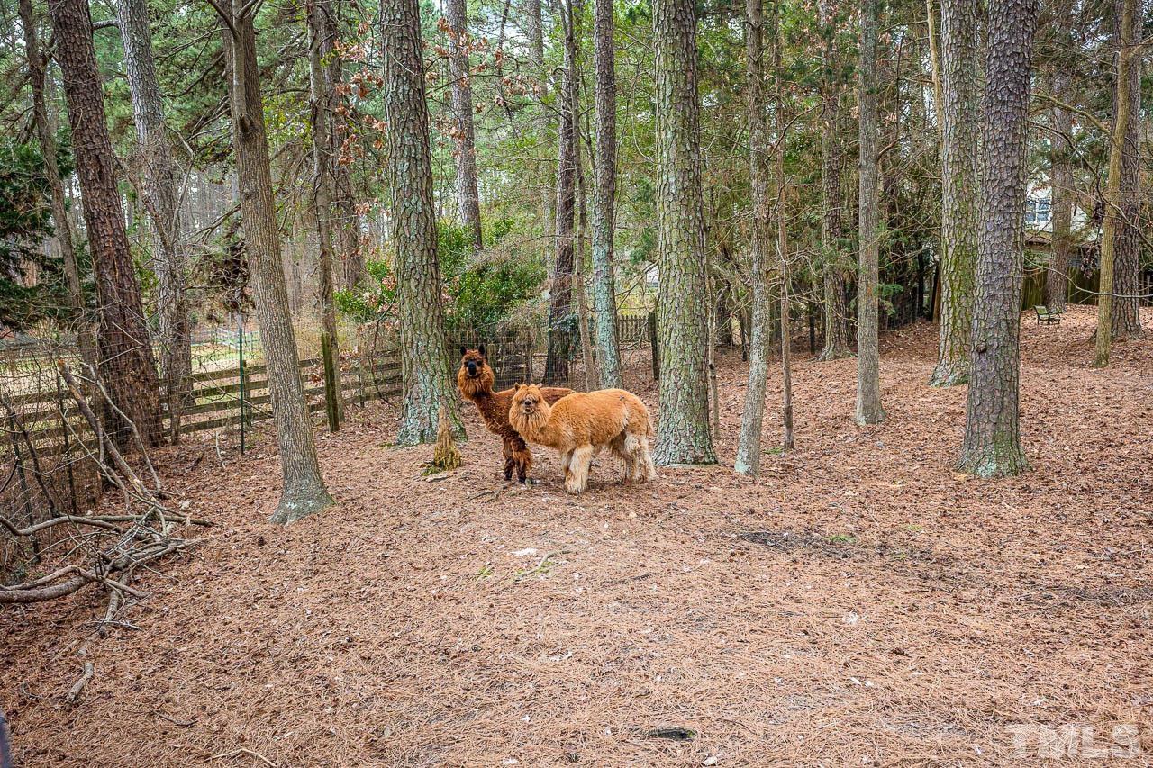 9006 Honeycutt Road Raleigh, NC 27615 - Photo 6 of 54 a backyard of a house with seating space