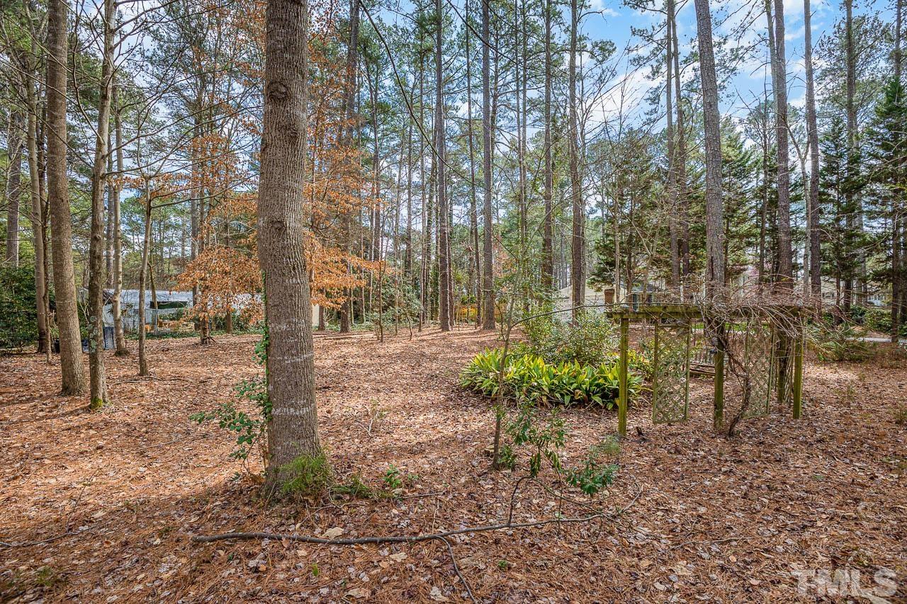 9006 Honeycutt Road Raleigh, NC 27615 - Photo 9 of 54 a view of a yard with plants and trees