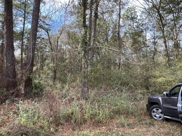 0 Monitor Drive Slidell, LA 70460 - Photo 2 of 4