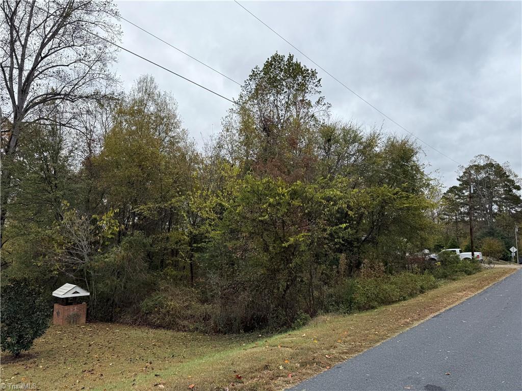 0 Long Bow Road Salisbury, NC 28144 - Photo 4 of 6