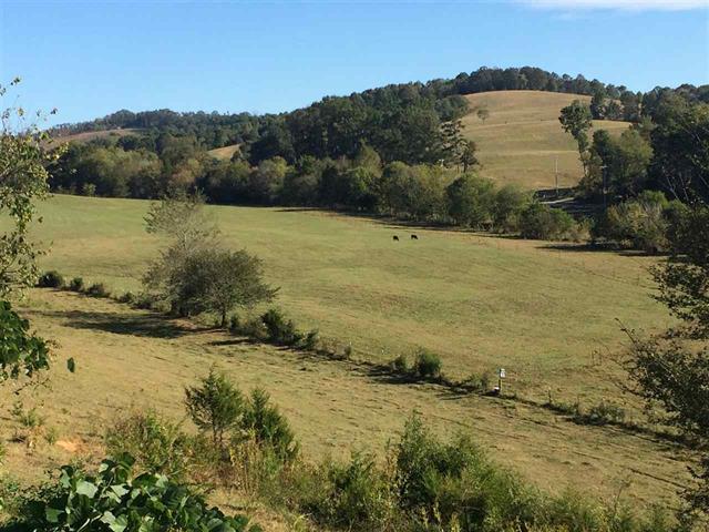 9.01 Narrow Rutledge, TN 37861 - Photo 2 of 9 Narrow Valley 1
