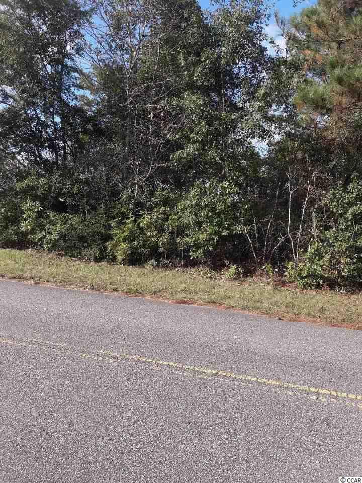 Sandridge Sandridge Road Little River, SC 29566 - Photo 4 of 5 Gallery Image 4
