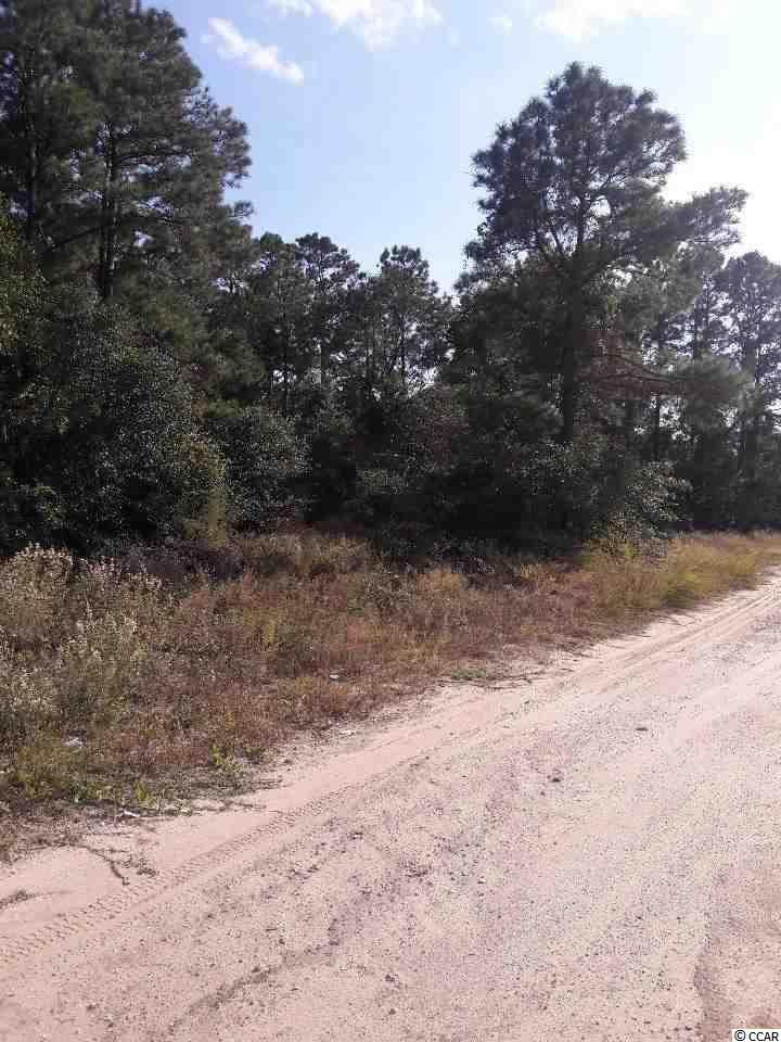 Sandridge Sandridge Road Little River, SC 29566 - Photo 5 of 5 Gallery Image 5