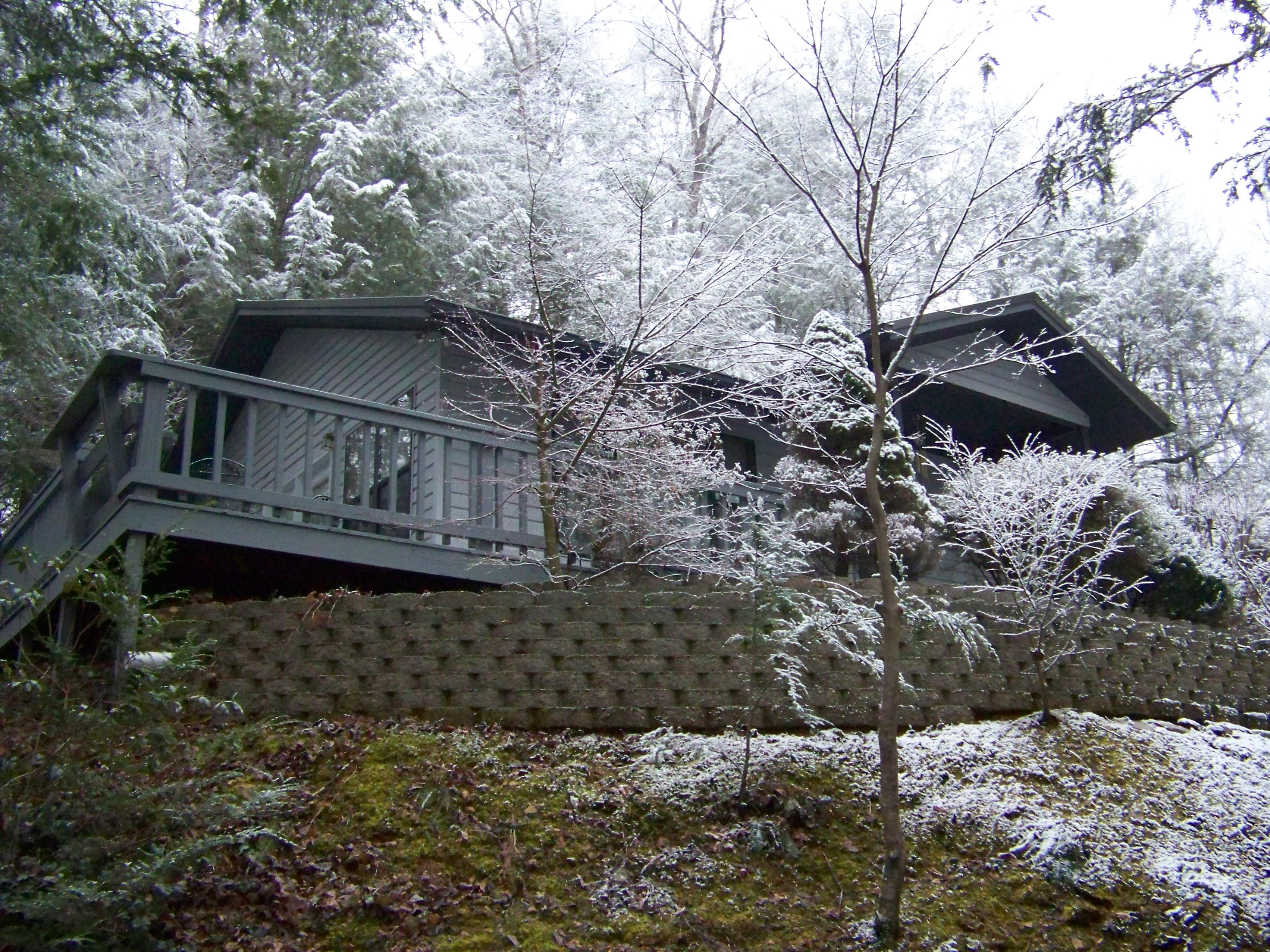 320 Bruce Road Gatlinburg, TN 37738 - Photo 1 of 21 100_6292