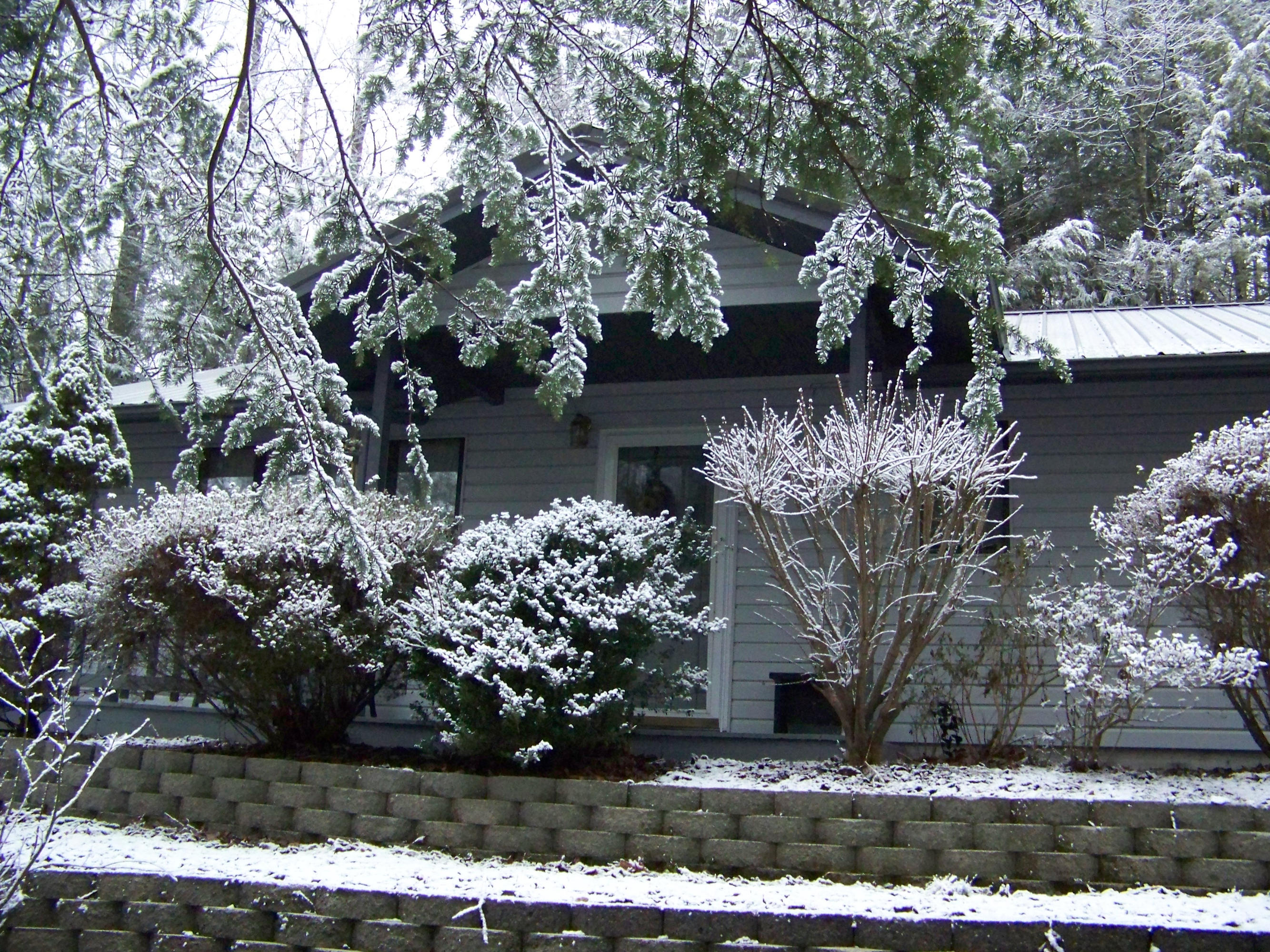 320 Bruce Road Gatlinburg, TN 37738 - Photo 2 of 21 100_6291
