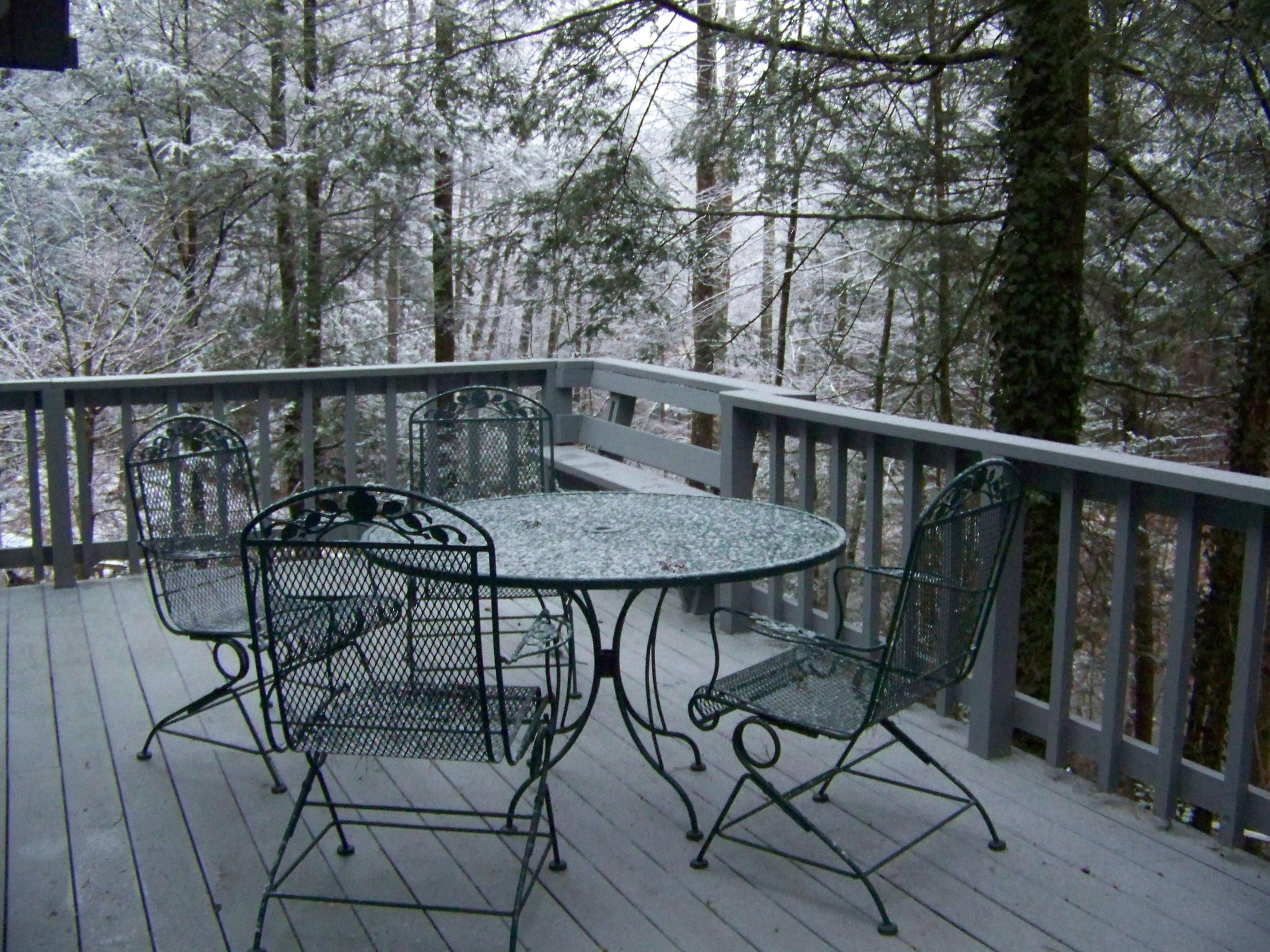 320 Bruce Road Gatlinburg, TN 37738 - Photo 8 of 21 100_6285
