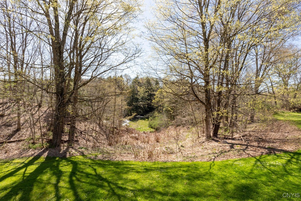 3830 Rippleton Road Cazenovia, NY 13035 - Photo 24 of 32