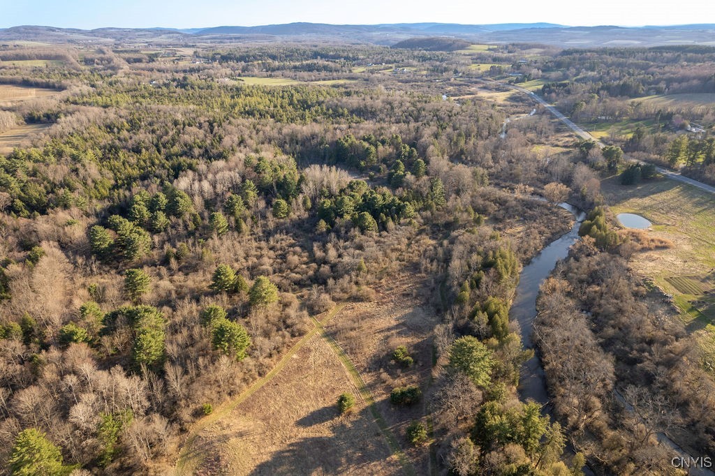3830 Rippleton Road Cazenovia, NY 13035 - Photo 30 of 32 View to the south along the creek.