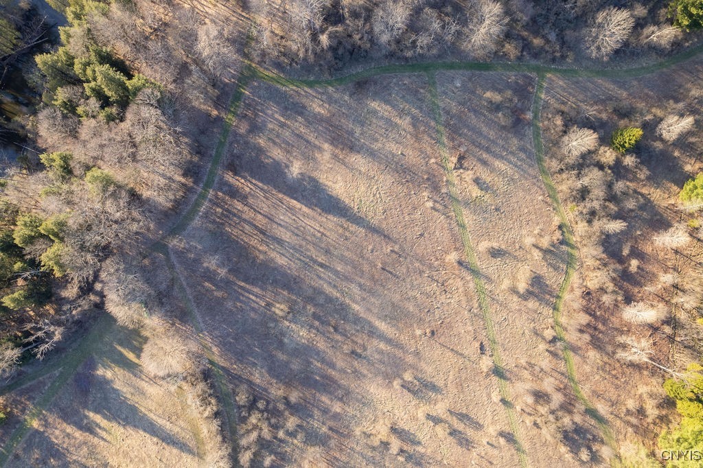 3830 Rippleton Road Cazenovia, NY 13035 - Photo 31 of 32 View of cut trails