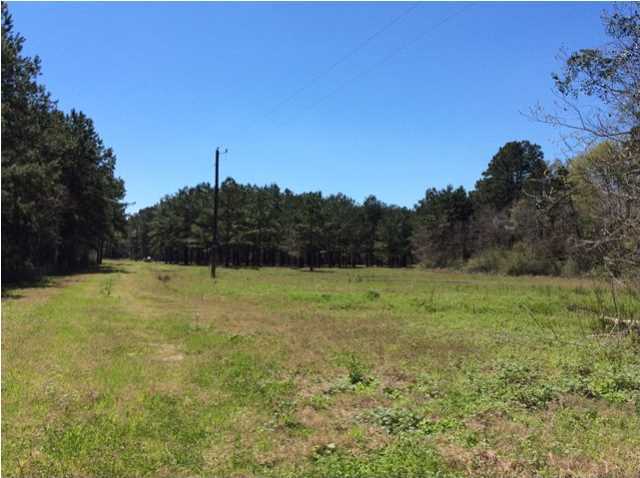 2655 Clement Road Egan, LA 70531 - Photo 1 of 4 Primary Photo