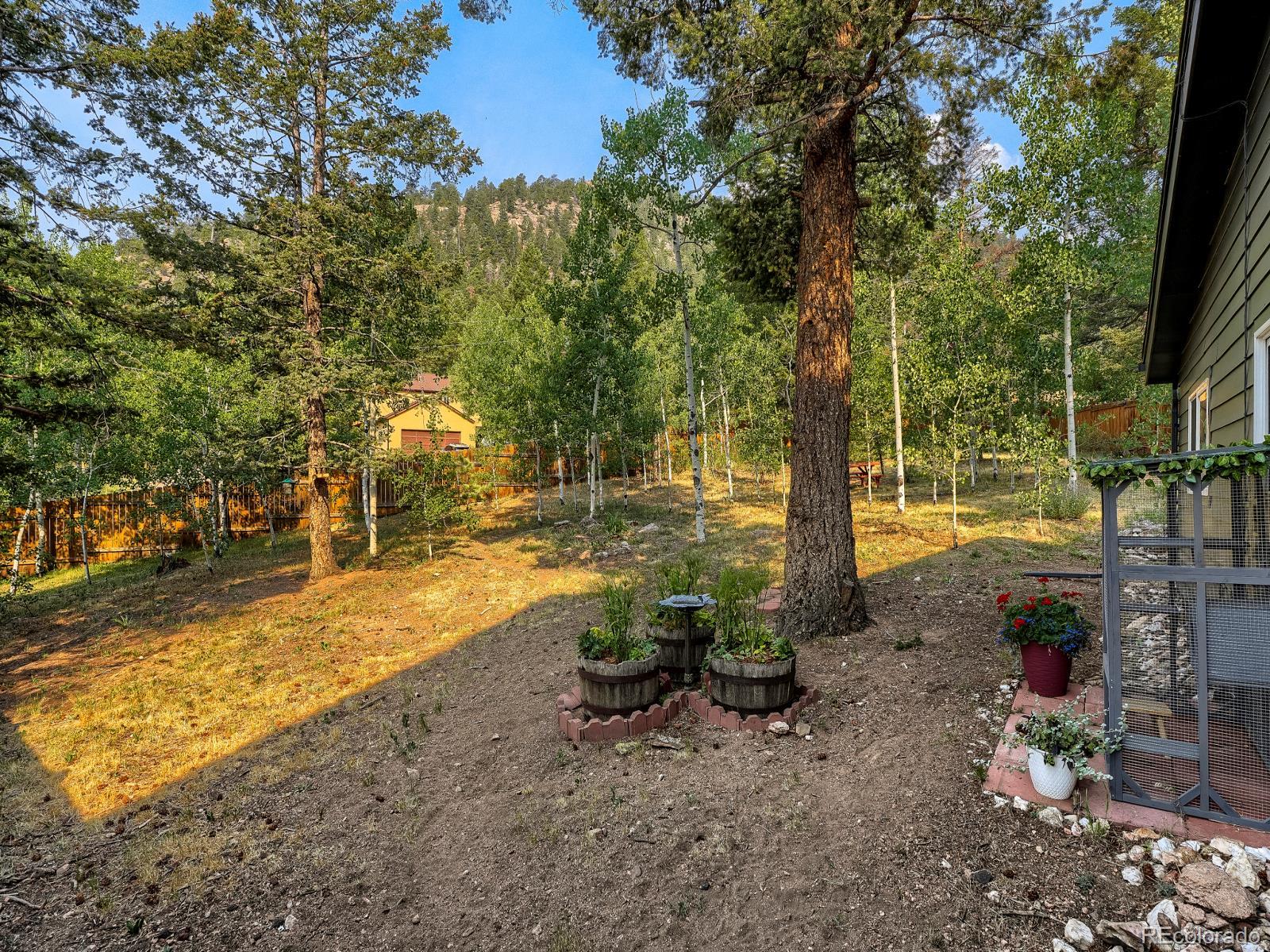 31289 Florence Road Conifer, CO 80433 - Photo 38 of 47