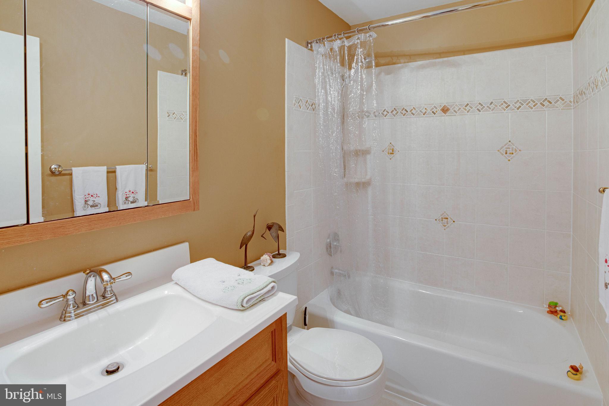 4301 Still Meadow Road Fairfax, VA 22032 - Photo 17 of 33 Updated hall full bath