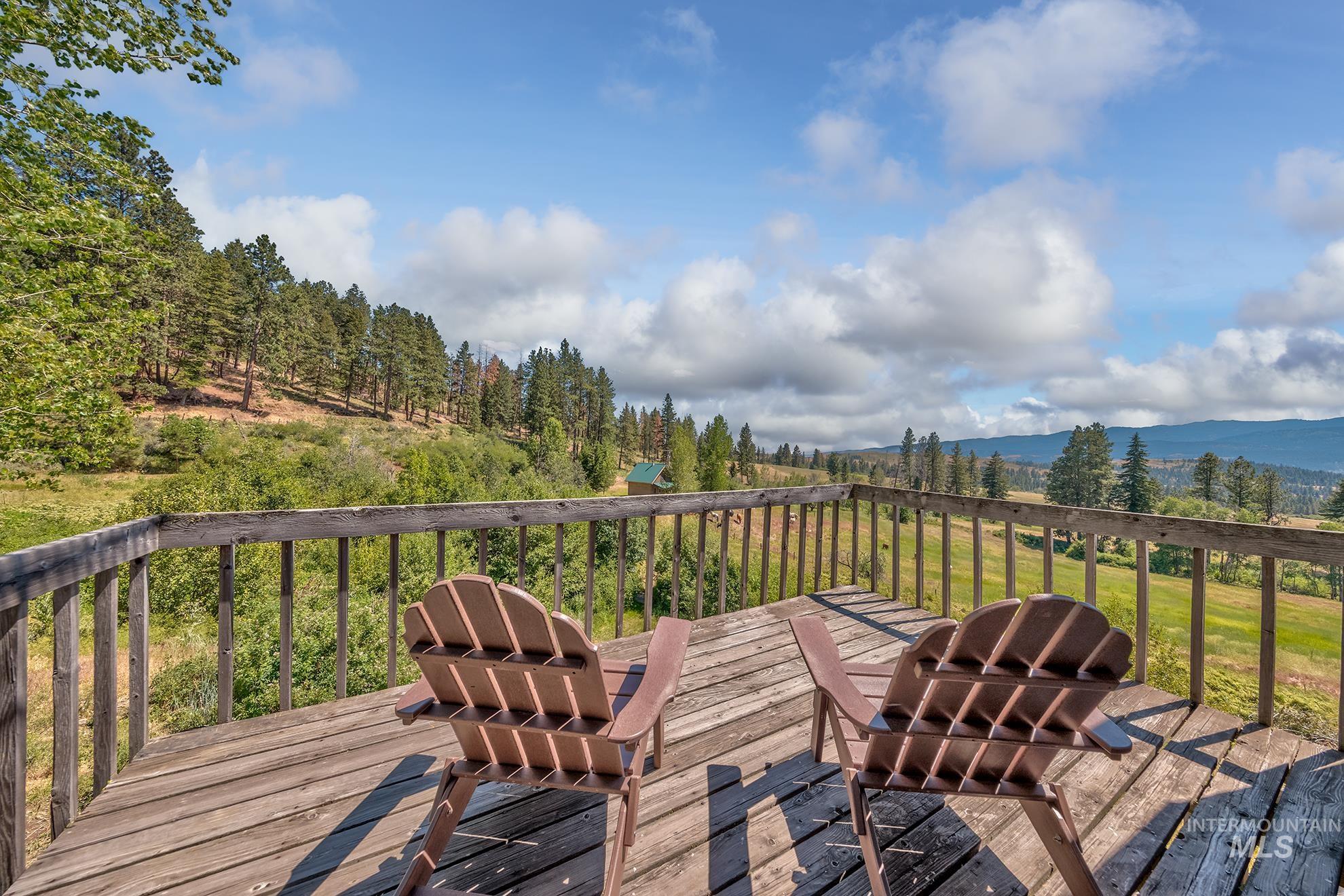 2150 Seid Creek Road Cambridge, ID 83610 - Photo 20 of 50 Expansive outdoor deck featuring wood-finish decking and railing, surrounded by natural landscaping with mature trees and distant mountains