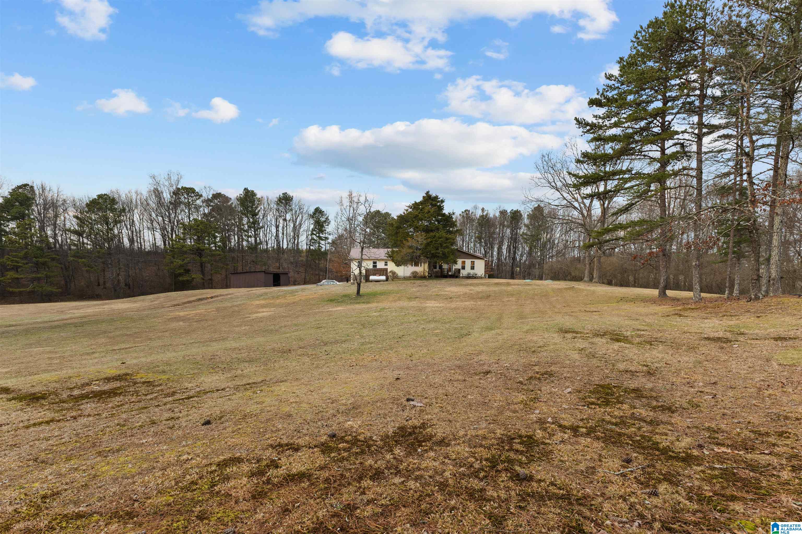 560 Phillips Drive Oneonta, AL 35121 - Photo 47 of 50