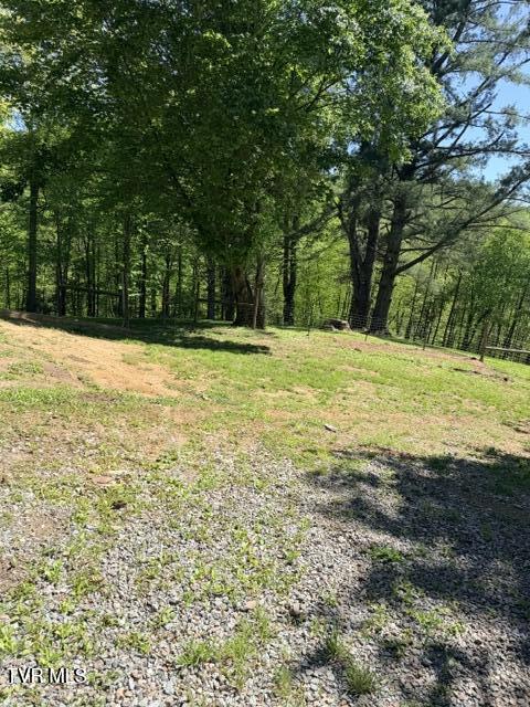 335 Bear Cage Road Roan Mountain, TN 37687 - Photo 19 of 68 IMG_1085