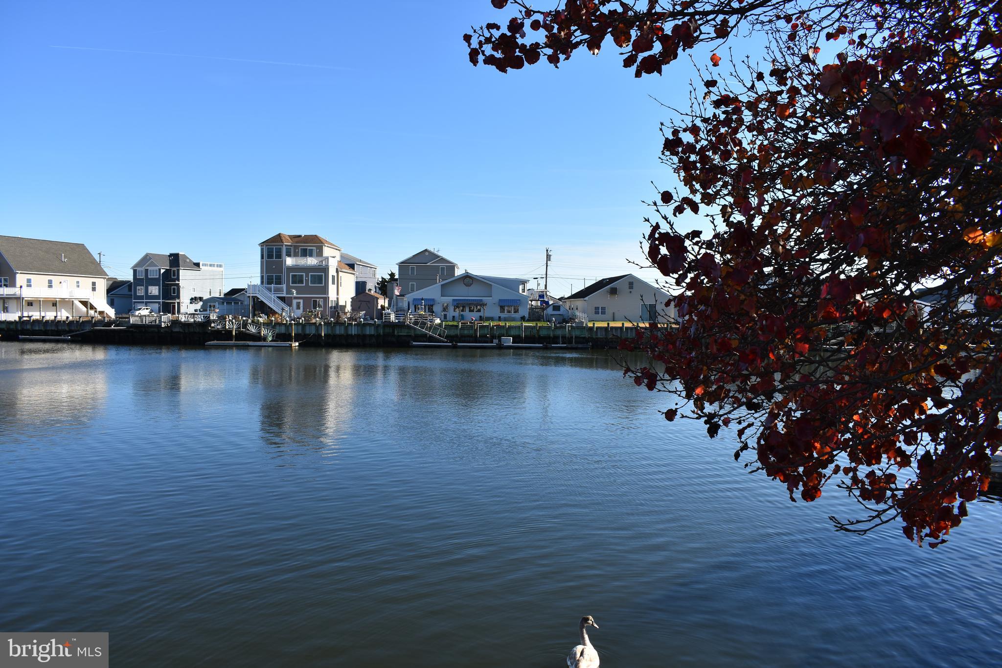 1029 Radio Road Little Egg Harbor, NJ 08087 - Photo 24 of 25 a view of a lake with houses