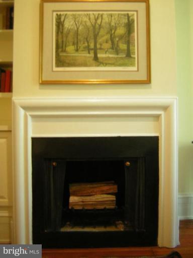 19 7th Street Northeast Washington, DC 20002 - Photo 8 of 30 Fireplace