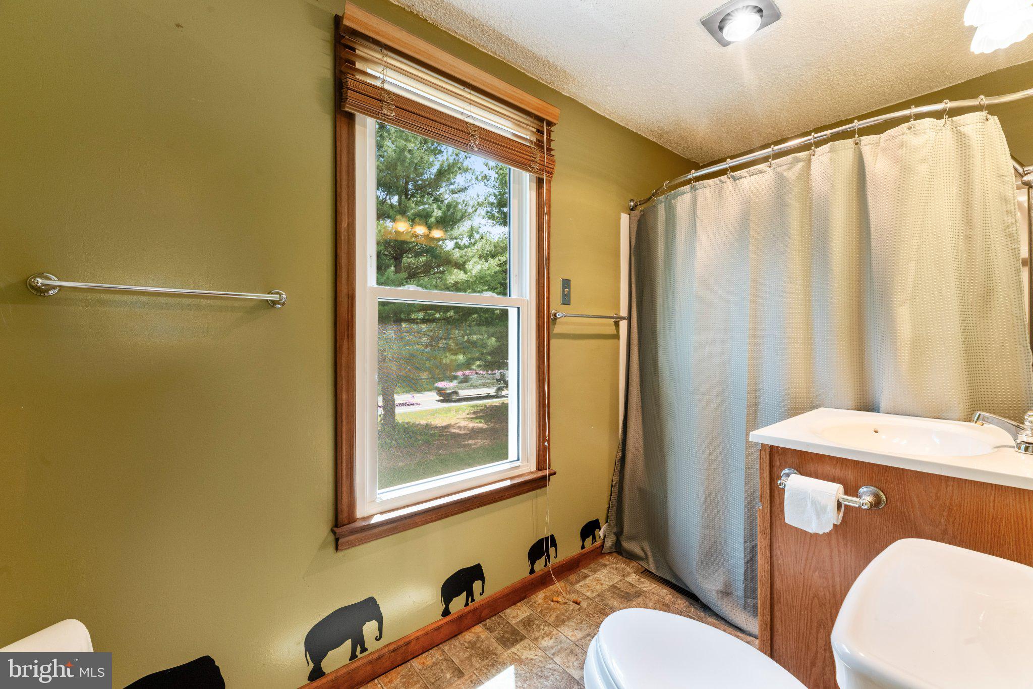 607 Chesterfield Arneytown Road Chesterfield, NJ 08515 - Photo 33 of 57 Charming bathroom with playful accents.