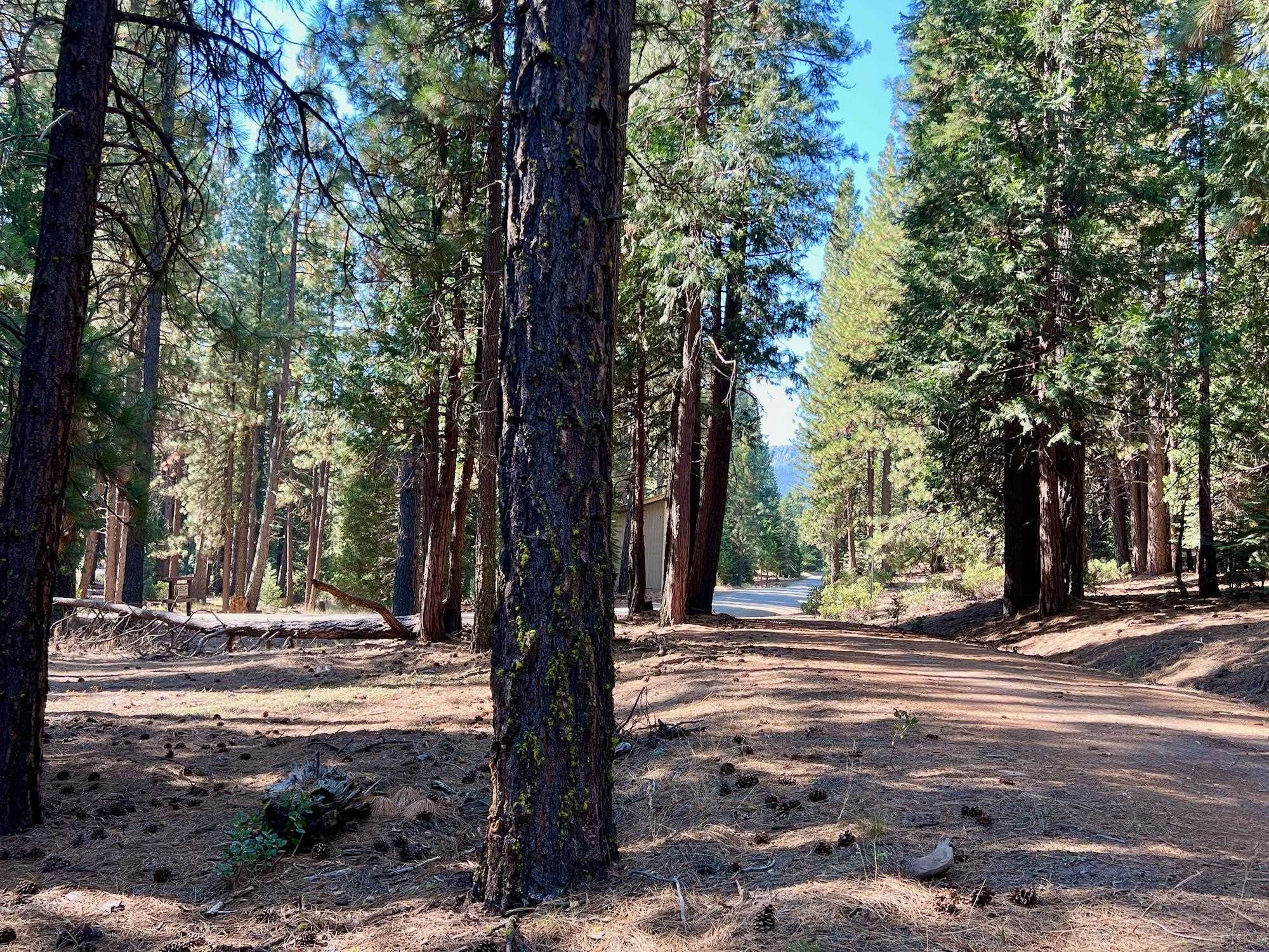 1651 Woodpecker Road Clio, CA 96106 - Photo 31 of 50 Gallery Image 31