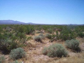 2314 South Jesse James Road Yucca, AZ 86438 - Photo 2 of 2 Additional Photo