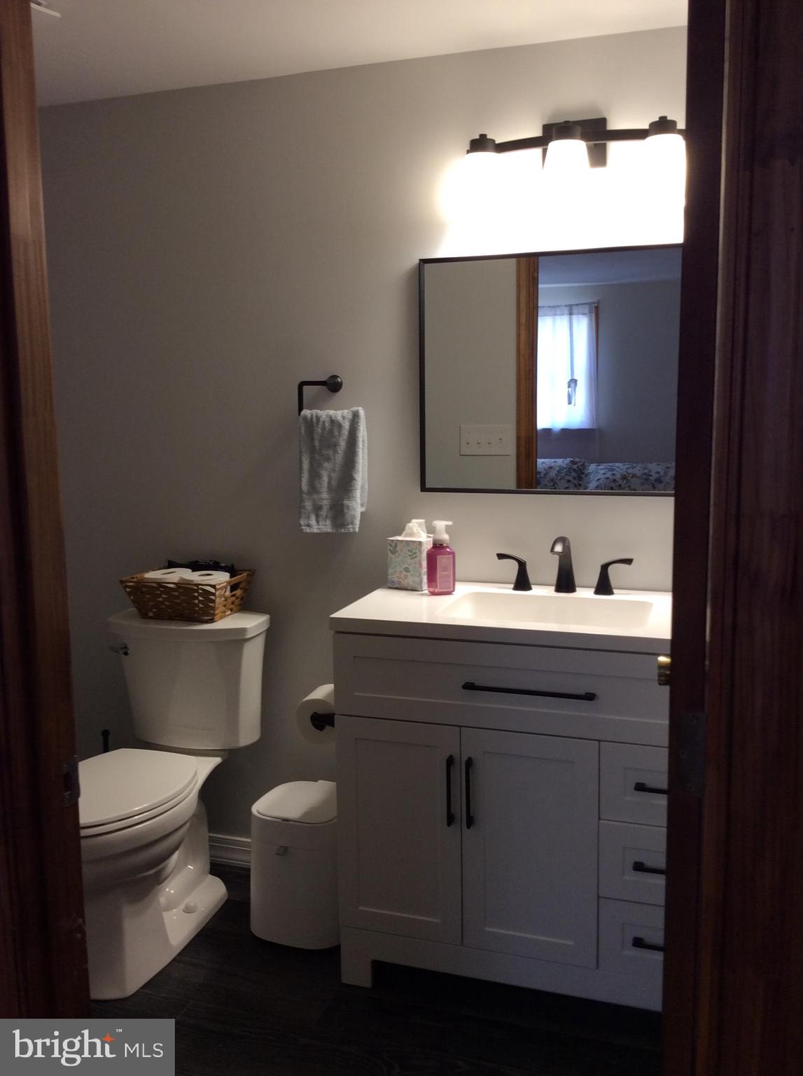 319 Red Lion Branch Road Millington, MD 21651 - Photo 18 of 31 a bathroom with a sink toilet and mirror