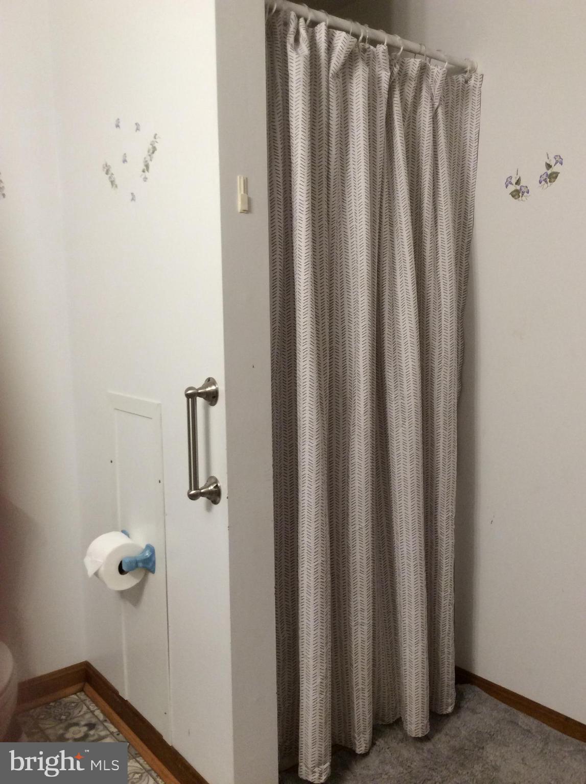 319 Red Lion Branch Road Millington, MD 21651 - Photo 26 of 31 Shower stall in Family Bathroom