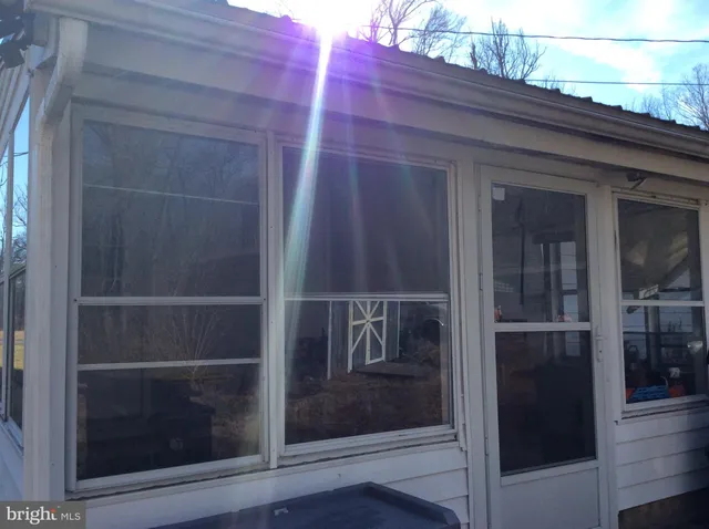 a view of road with large trees