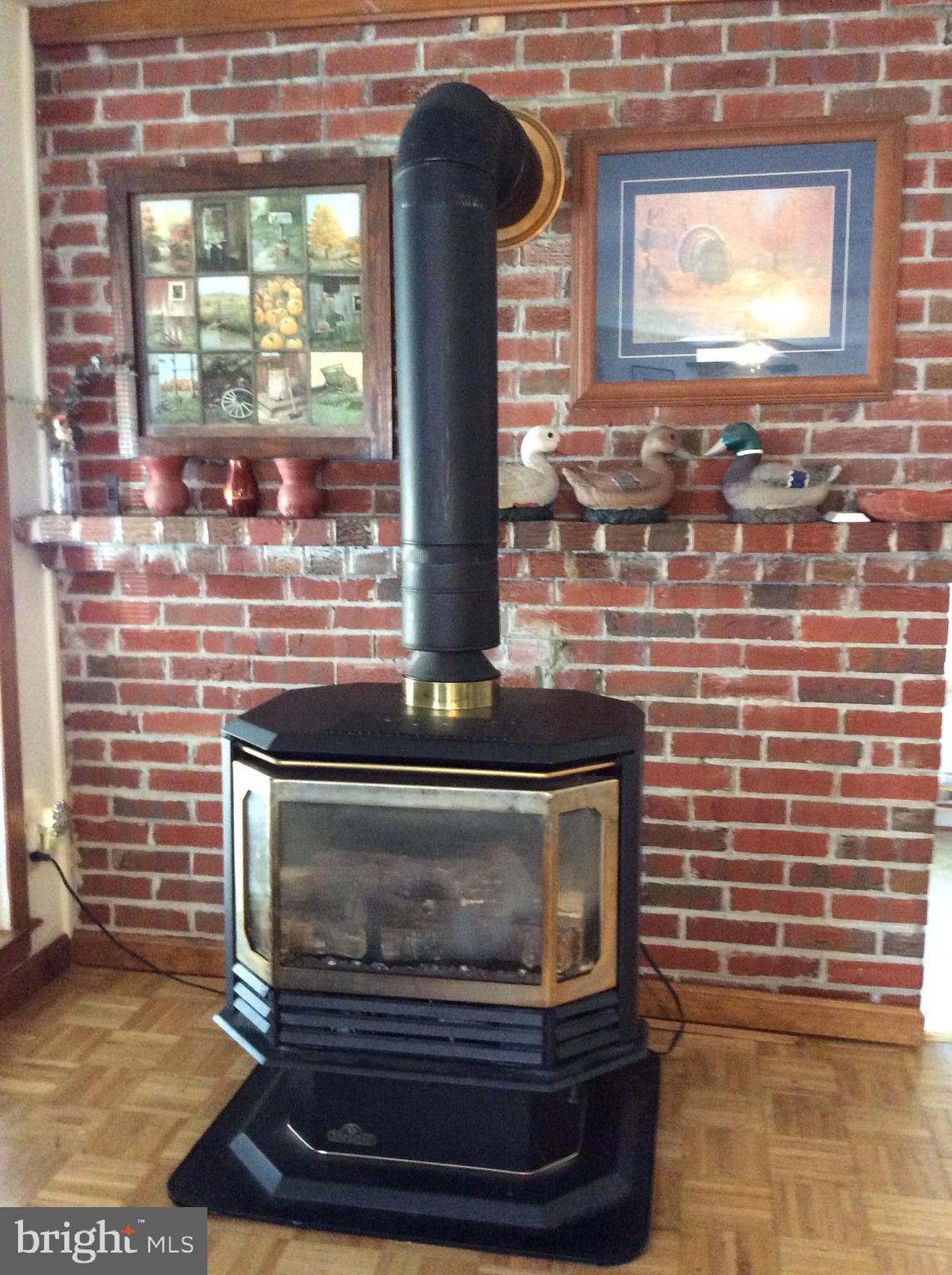 319 Red Lion Branch Road Millington, MD 21651 - Photo 7 of 31 Cozy propane stove