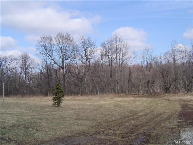 7646 Kearney Road Whitmore Lake, MI 48189 - Photo 3 of 16 Rear Yard