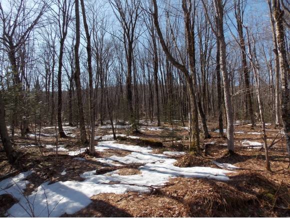 N/a Peacham, VT 05873 - Photo 1 of 1 Gallery Image 1