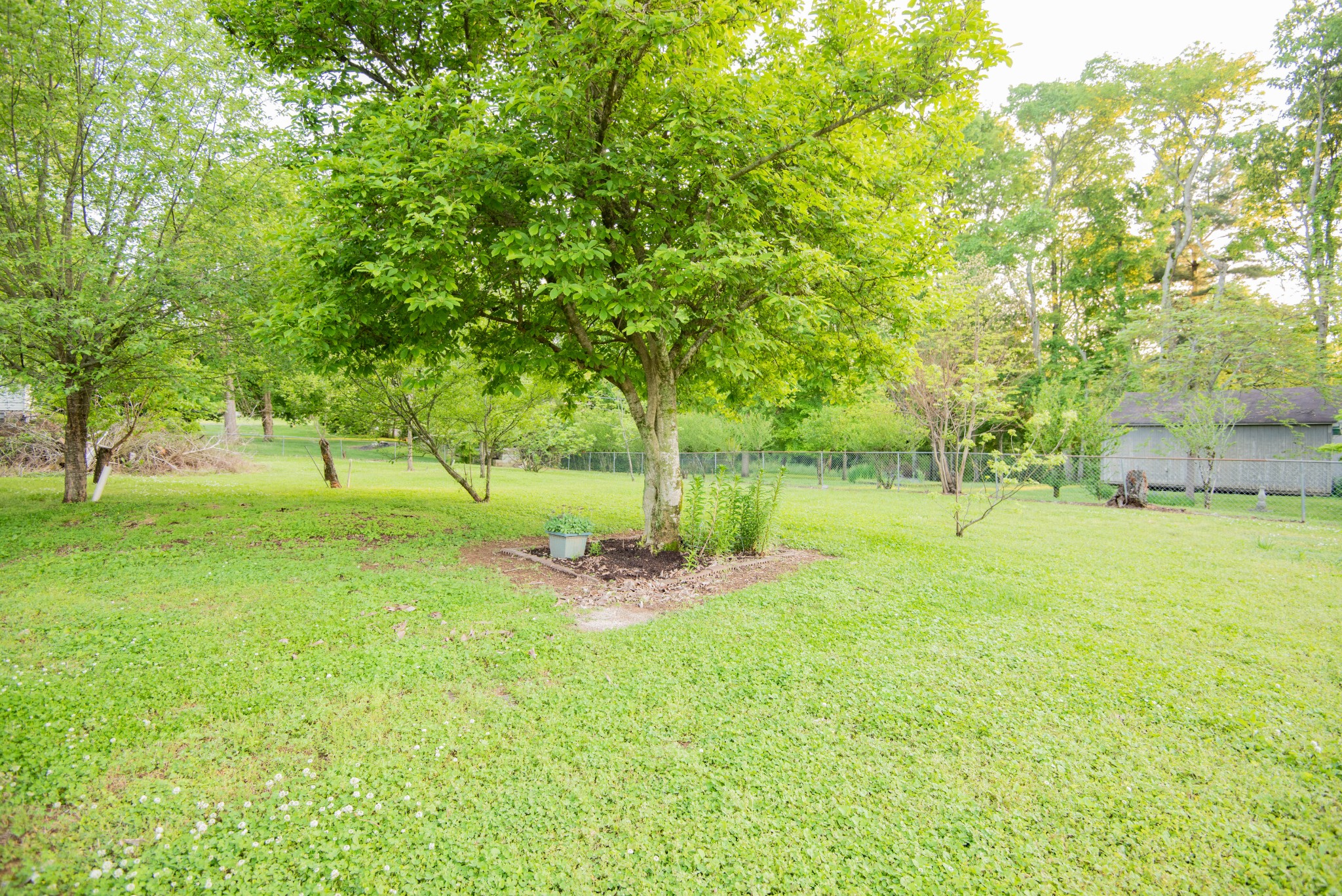 205 Green Harbor Road Old Hickory, TN 37138 - Photo 27 of 36 a view of yard with green space
