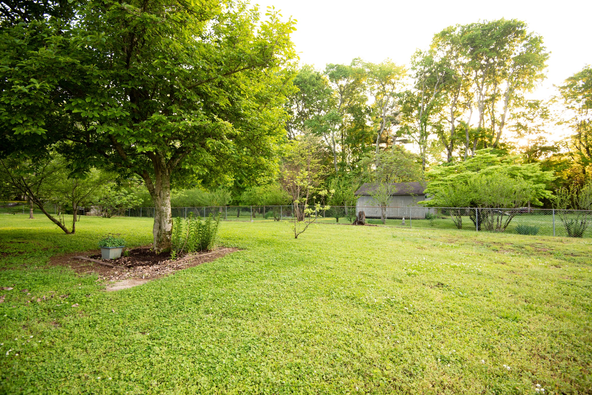 205 Green Harbor Road Old Hickory, TN 37138 - Photo 29 of 36 a view of an outdoor space and yard