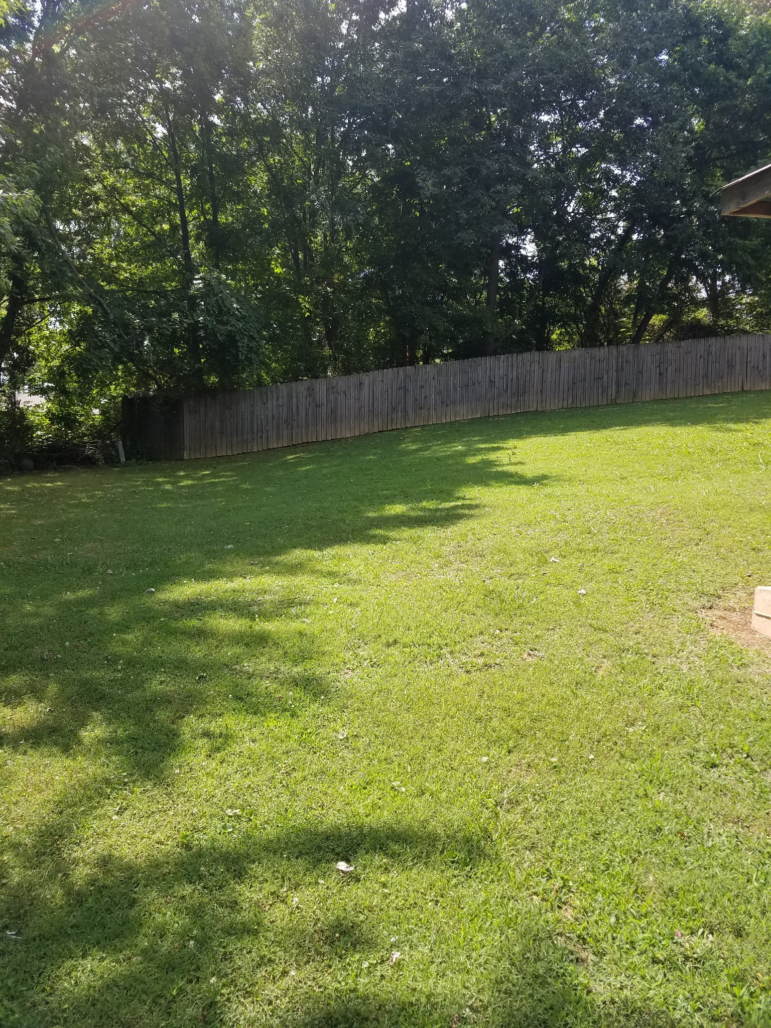 709 Calista Road White House, TN 37188 - Photo 19 of 19 Gallery Image 19