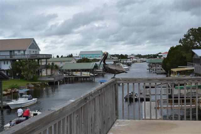 21065 Marina Road, Unit 1 Perry, FL 32348 - Photo 14 of 23 Gallery Image 14