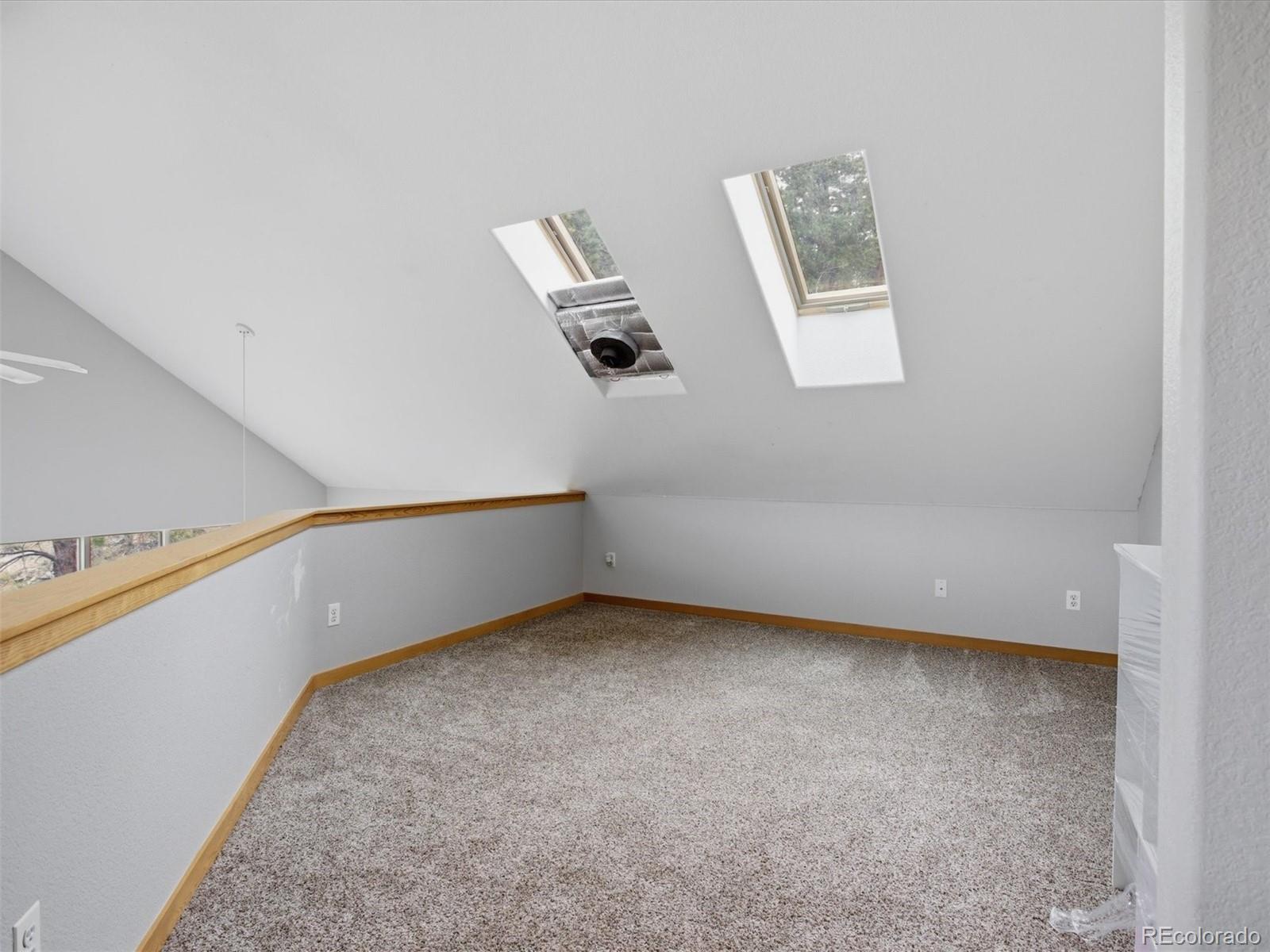117 Spruce Trail Bailey, CO 80421 - Photo 14 of 47