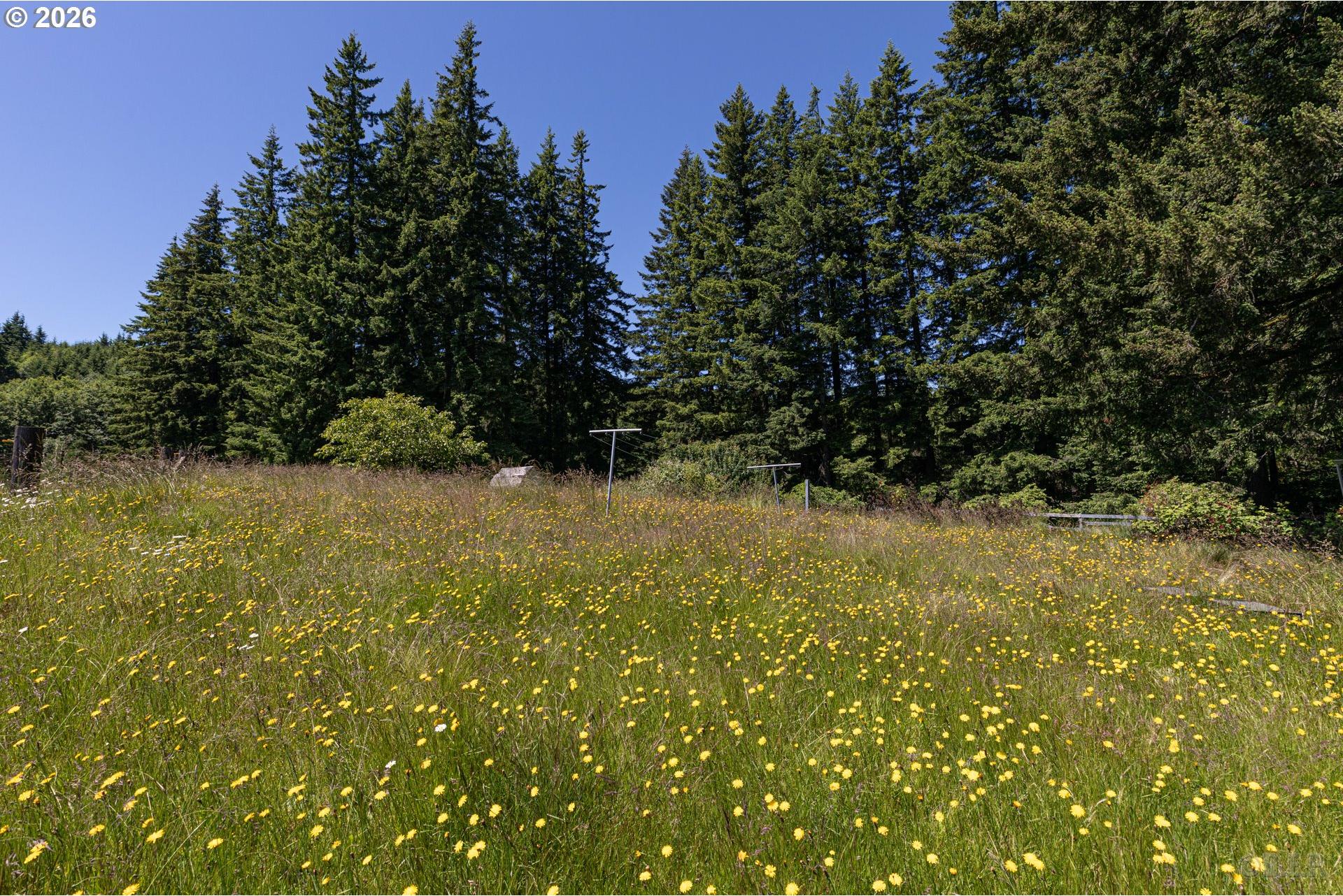 27546 Clark Road Deer Island, OR 97054 - Photo 4 of 21 Gallery Image 4