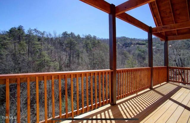 852 String Run Way Pigeon Forge, TN 37863 - Photo 22 of 40 IMG_5882