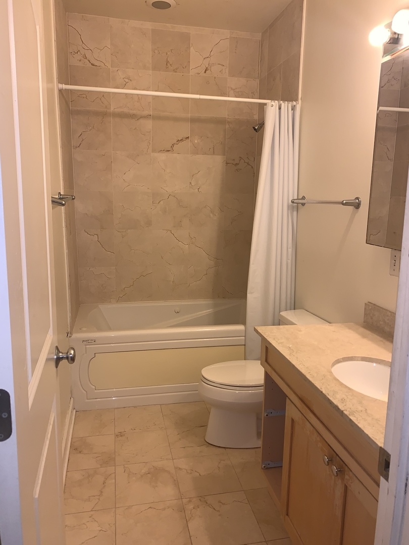 839 East 52nd Street, Unit 3 Chicago, IL 60615 - Photo 11 of 18 a bathroom with a granite countertop sink toilet and shower
