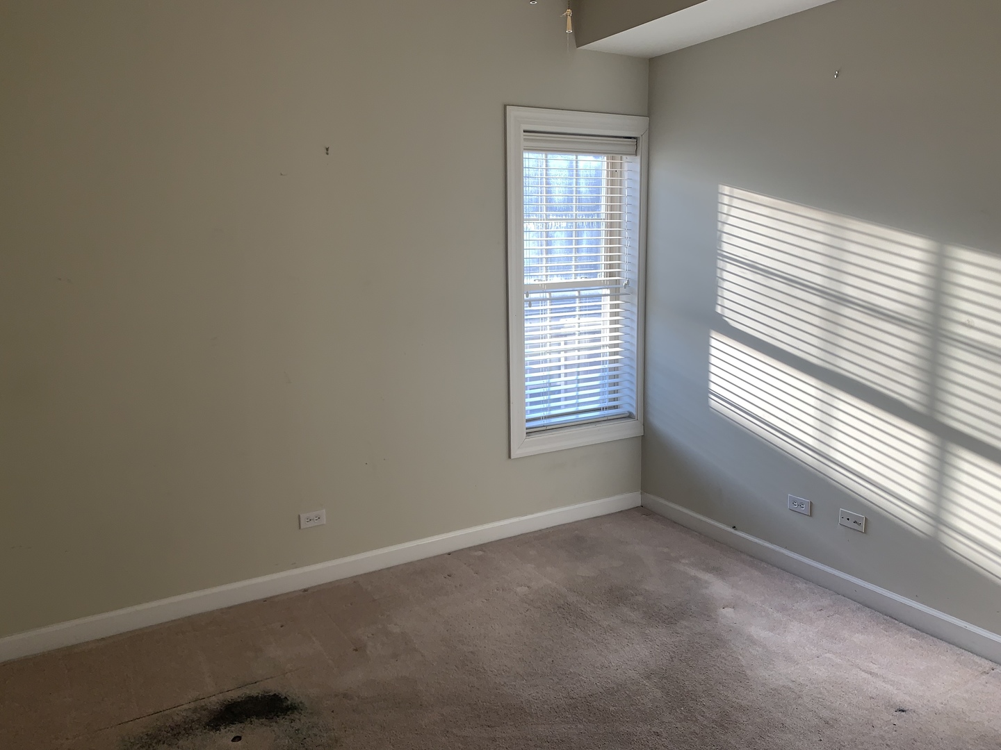 839 East 52nd Street, Unit 3 Chicago, IL 60615 - Photo 12 of 18 an empty room with windows