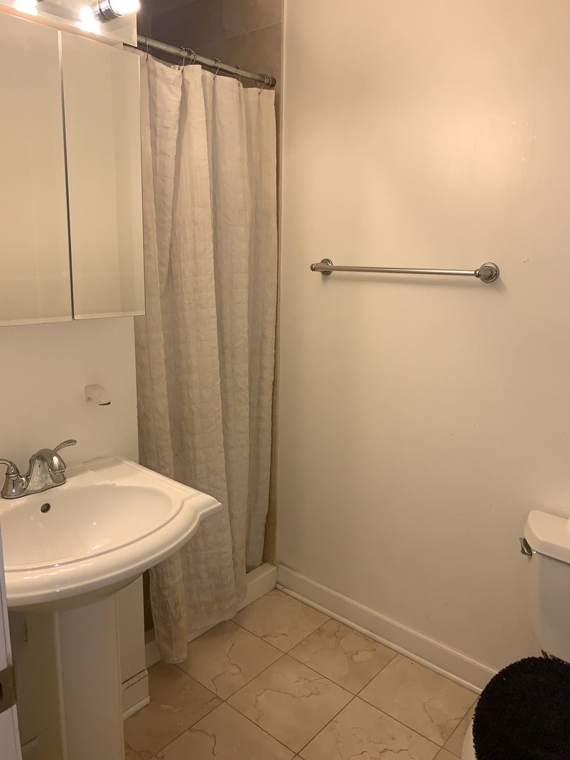 839 East 52nd Street, Unit 3 Chicago, IL 60615 - Photo 16 of 18 a bathroom with a sink and a mirror