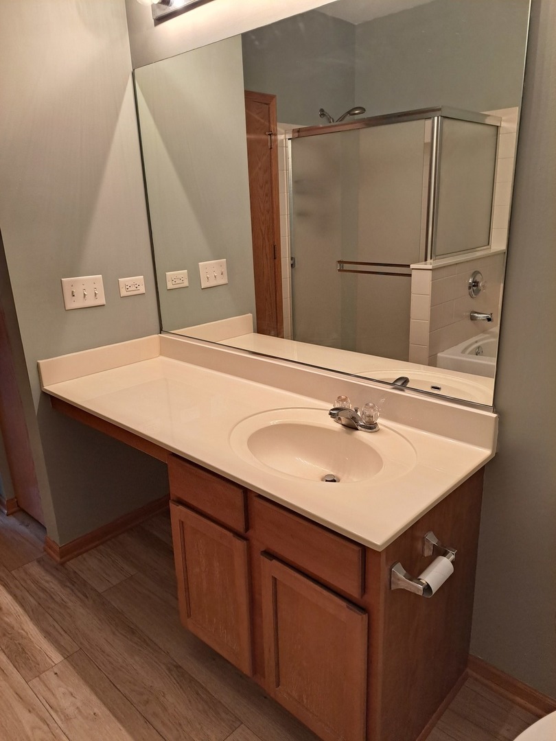 5111 Freeport Court Plainfield, IL 60586 - Photo 19 of 24 a bathroom with a sink and mirror