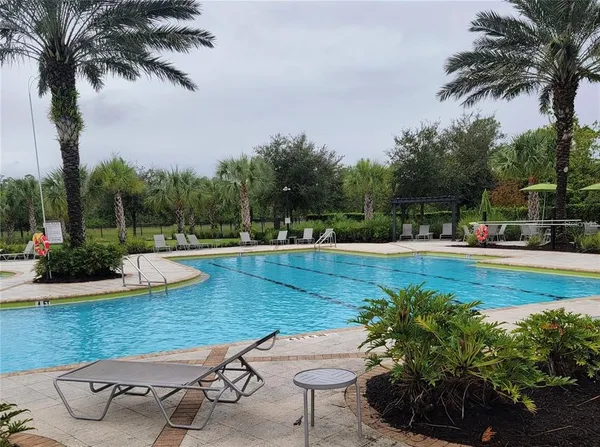 a view of a swimming pool with a garden and plants