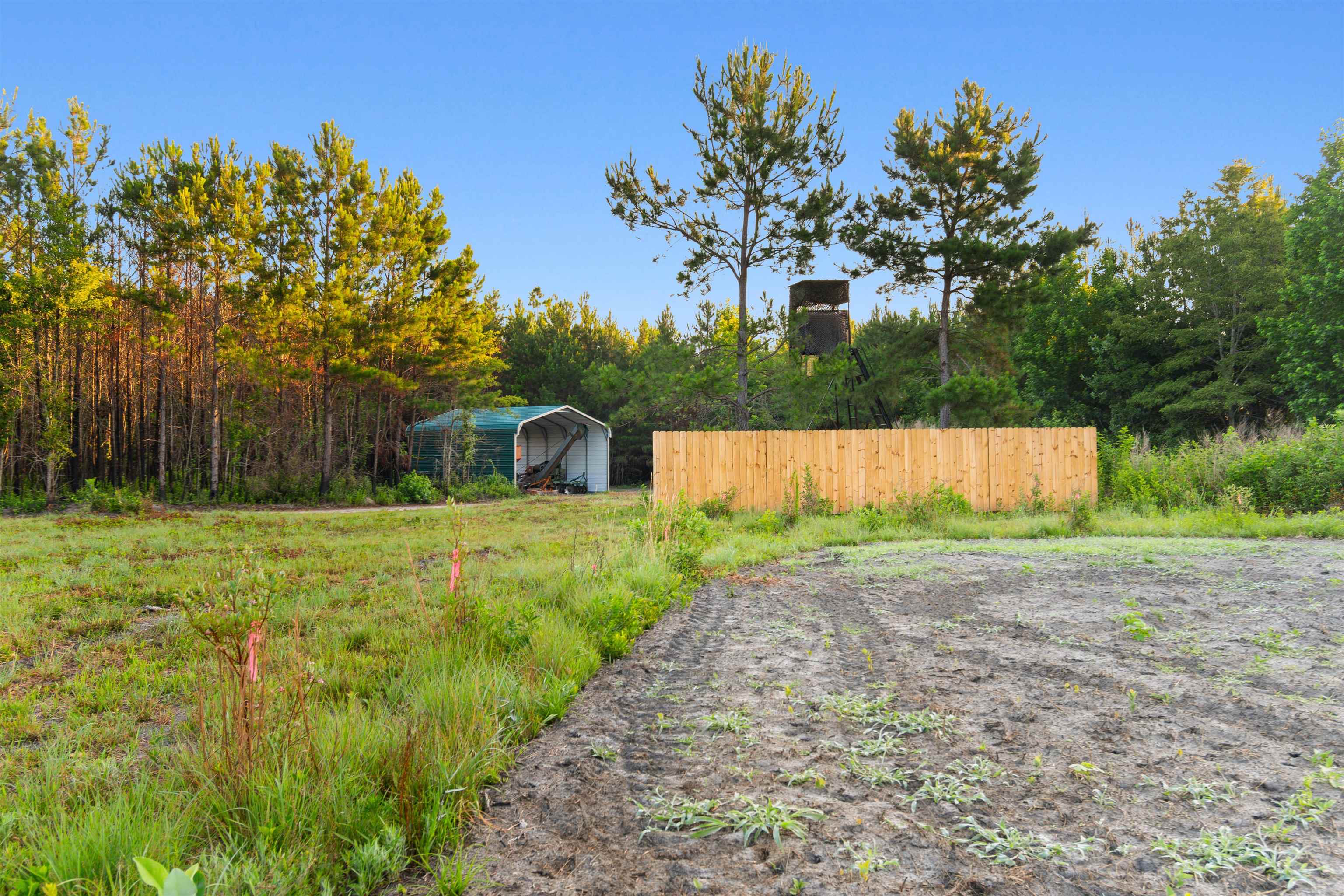 77-acres - Tbd Bert Hanna Road Hemingway, SC 29554 - Photo 7 of 28