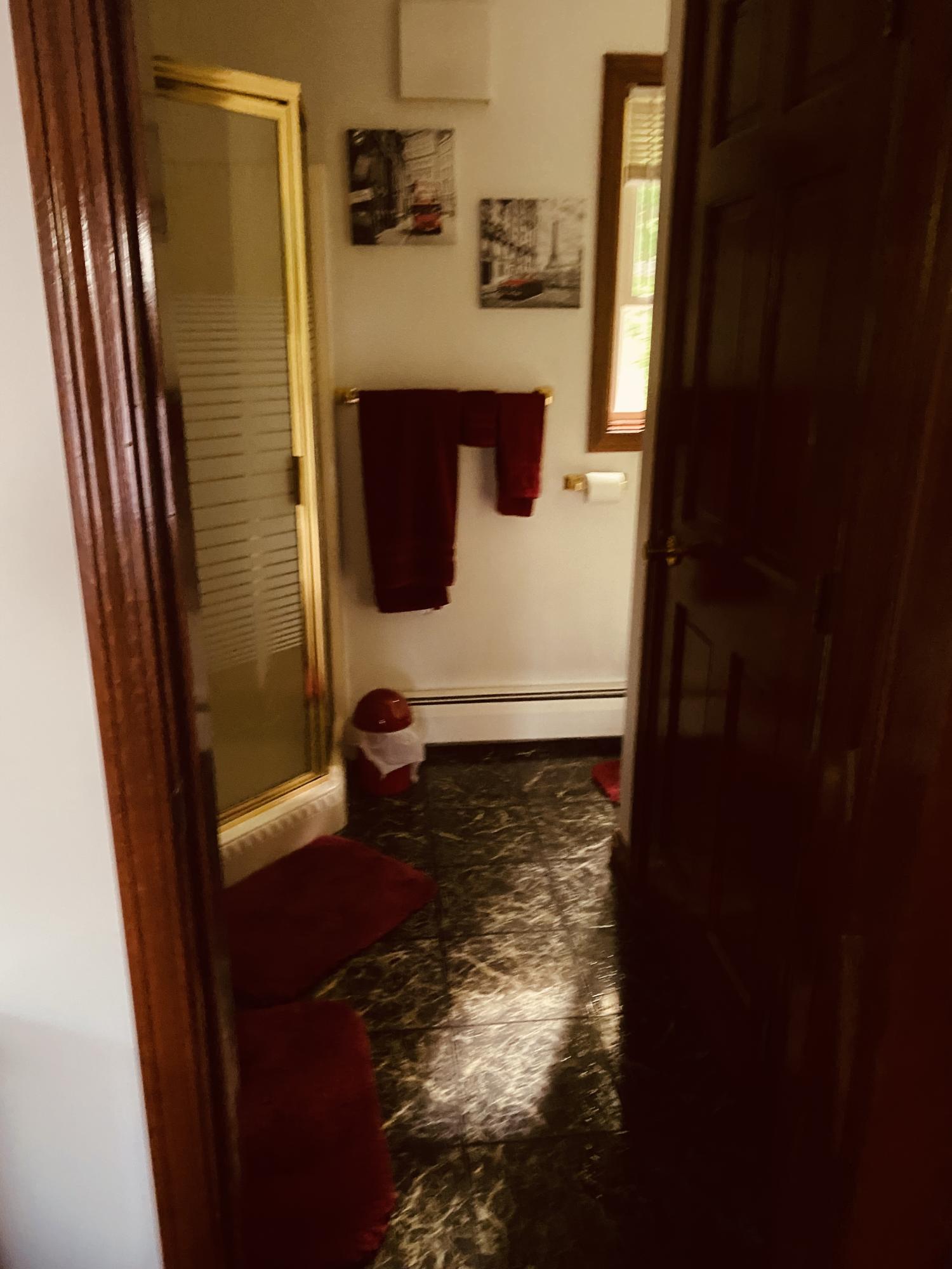 436 Isthmus Road Rumford, ME 04276 - Photo 11 of 68 53F60EE4-2092-43AD-B7A1-43271BE6FE82