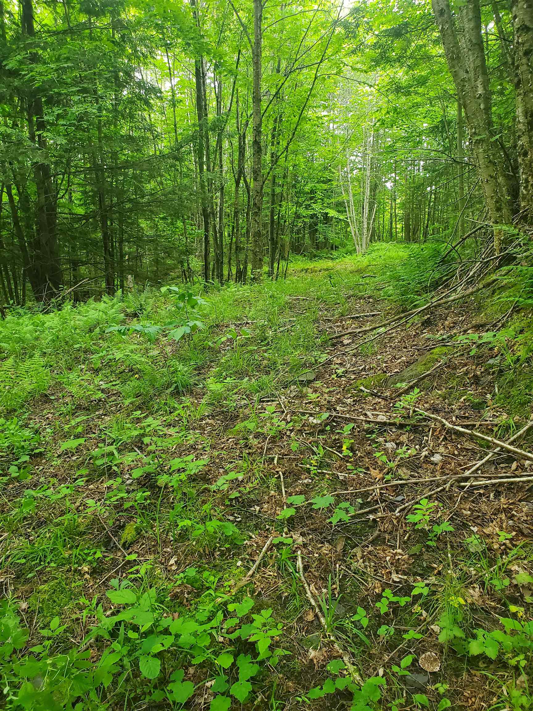 420 Nadeau Park Road Newport, VT 05855 - Photo 5 of 6