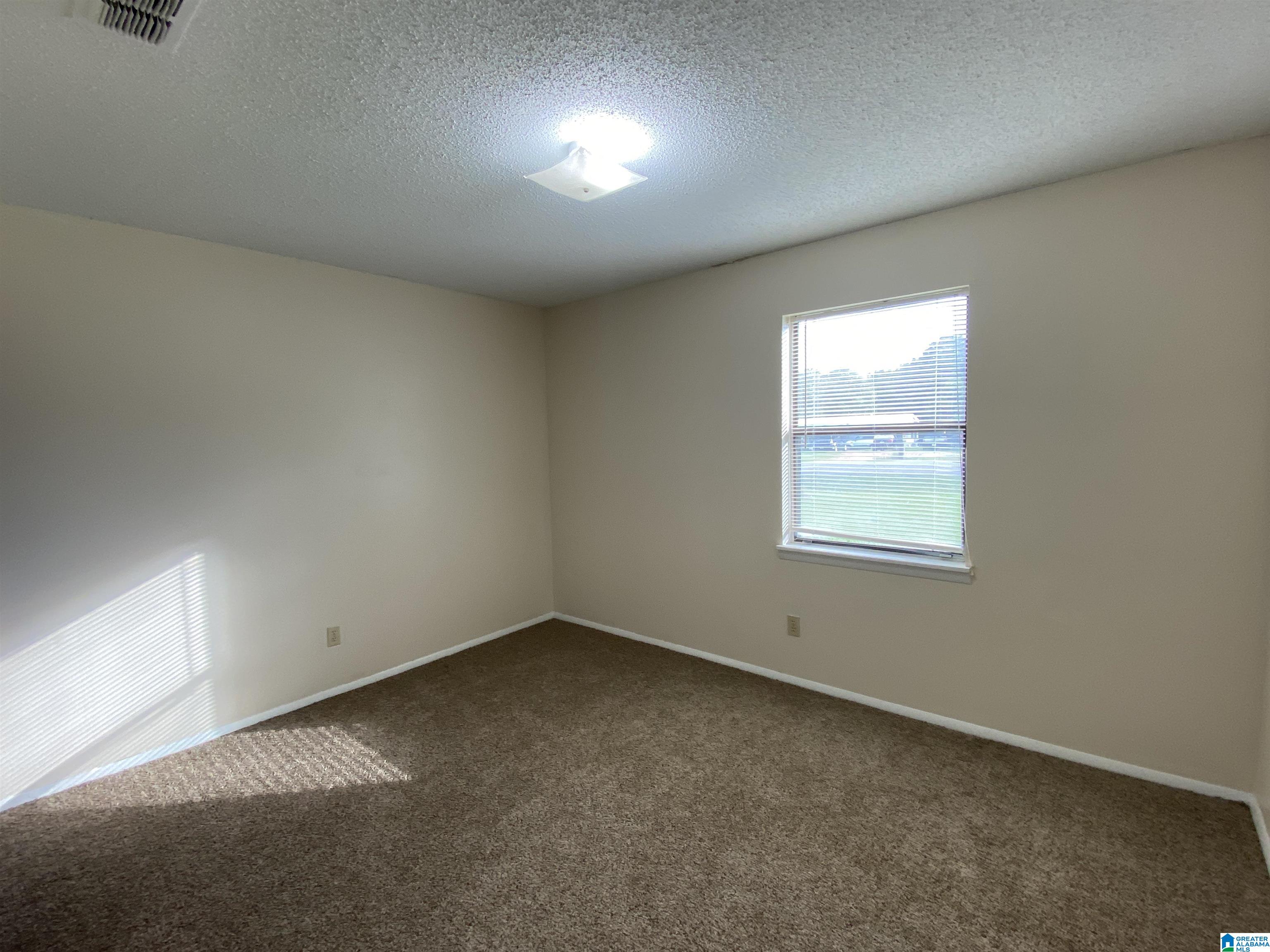 3494 Tomcat Road Piedmont, AL 36272 - Photo 17 of 18